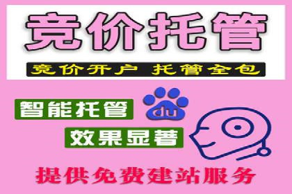 行业领先SEM托管代运营案例